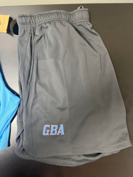 GBA SHORTS - GREY